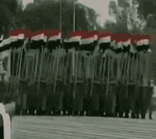 Soldiers Marching in Parade With Flags