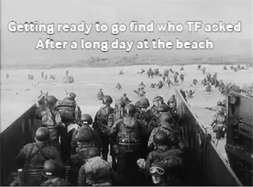 Soldiers Ready to Find Who TF Asked at Beach
