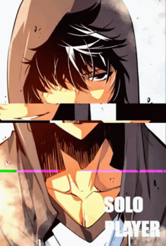 Solo Leveling Solo Player GIF