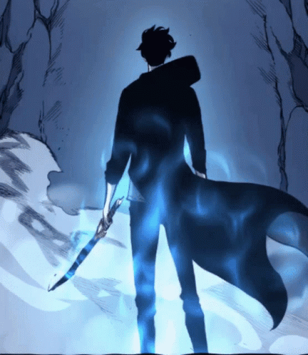 Solo Leveling Sung Jin Woo Back View GIF