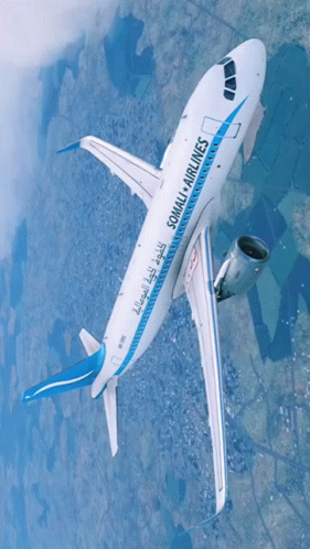 Somali Airlines Airplane Flying GIF