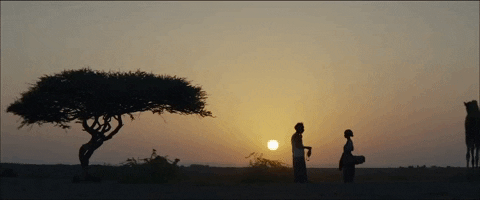 Somalia Couple During Sunset GIF