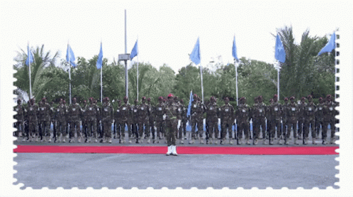 Somalia Somali Armies GIF