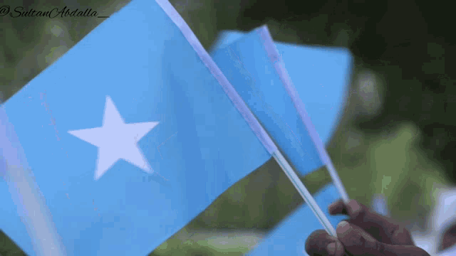 Somalia Somalia Flag Gif GIF