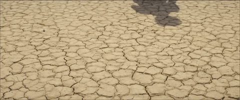 Somalia Very Good Story GIF