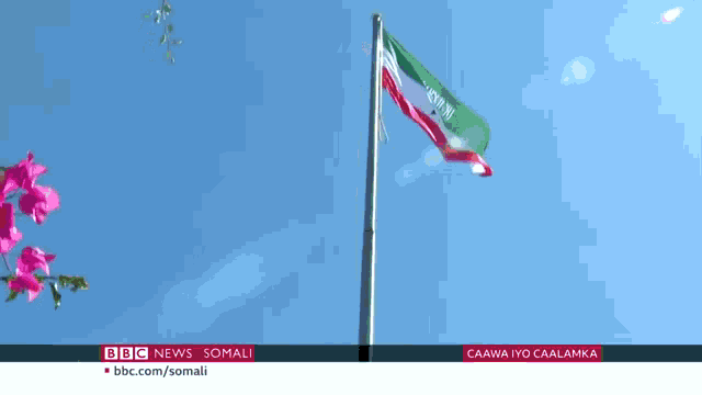 Somaliland Somalia Gif GIF