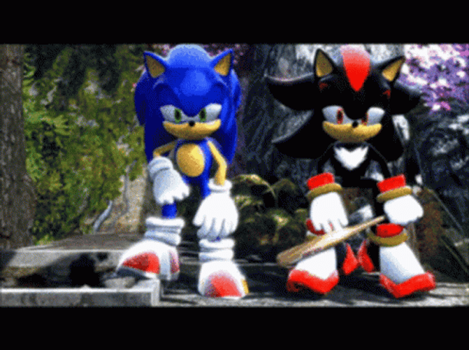 Sonic And Shadow The Hedgehog GIF