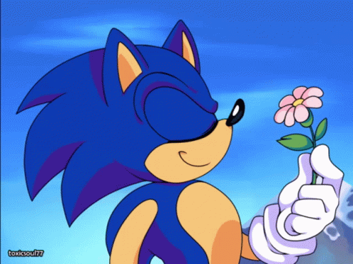 Sonic Exe Classic Sonic The Hedgehog GIF