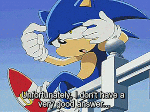 Sonic Hedgehog Good Answer GIF