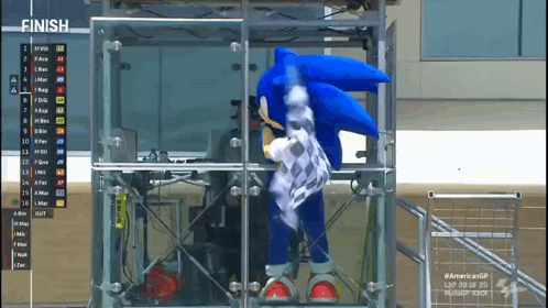 Sonic Hedgehog Waving Checkered Flag GIF