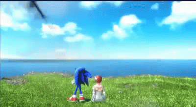 Sonic Hedgehog with Woman in Field by Ocean