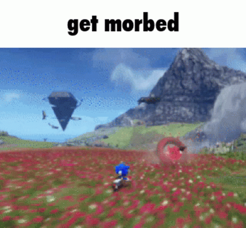 Sonic Lost World Get Morbed GIF