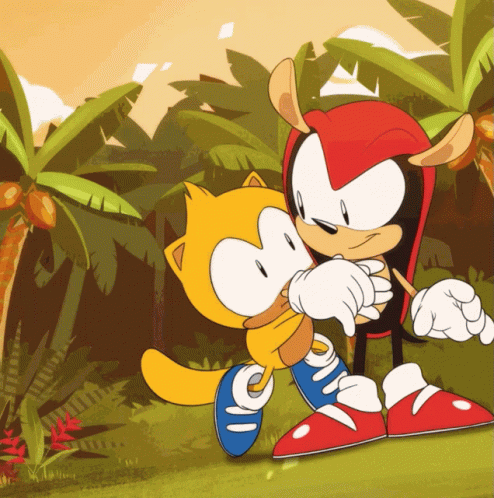 Sonic Mania Mighty The Armadillo Strong Punch GIF