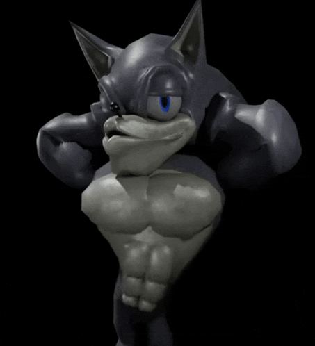 Sonic Meme Black Sonic Gif GIF