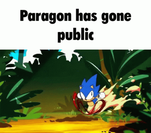 Sonic Running Paragon Has Gone Pubic Meme GIF