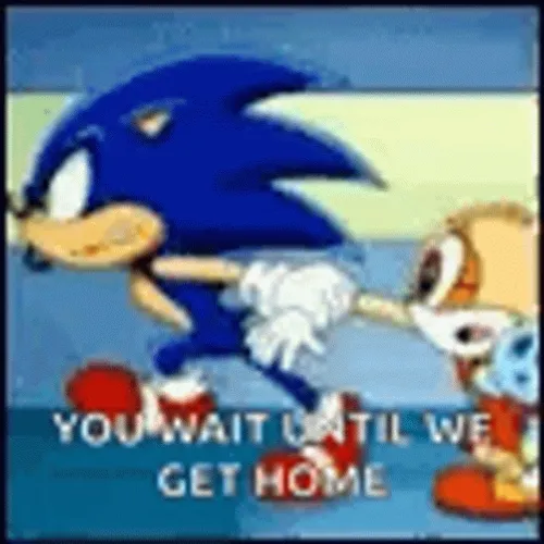 Sonic Running