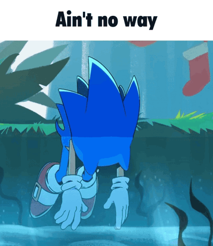 Sonic The Hedgehog Ain't No Way GIF