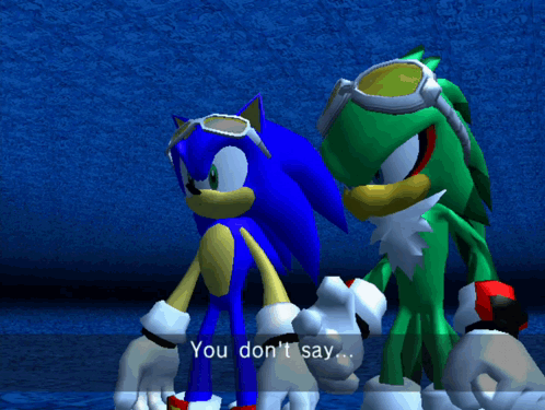 Sonic The Hedgehog And Jet The Hedgehog Are Standing Next To Each Other With The Words " You Don 'T Say " Above Them GIF
