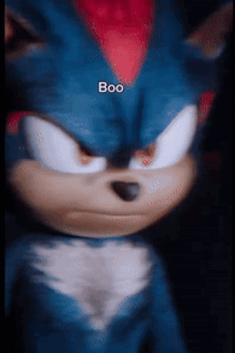 Sonic the Hedgehog Doll Holding Boo Sign