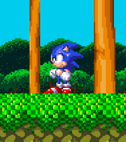 Sonic The Hedgehog Game Pointing GIF
