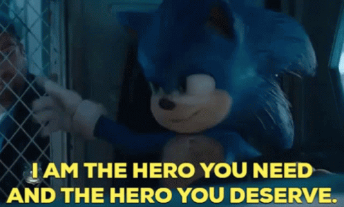 Sonic the Hedgehog I Am the Hero You Need and the Hero You Deserve