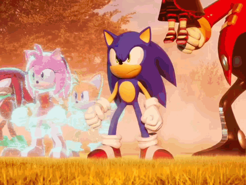 Sonic The Hedgehog Is Standing In A Field Next To Amy Rose And Eggman GIF