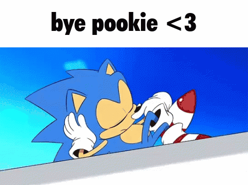 Sonic the Hedgehog Saying Bye Pookie 3