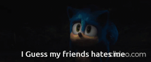 Sonic the Hedgehog Saying I Guess My Friends Hates Meo.com