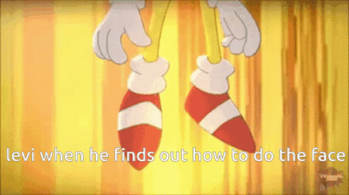 Sonic The Hedgehog Saying Levi When He Finds Out How To Do The Face GIF