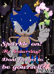 Sonic the Hedgehog Saying Sparkle on Saturday
