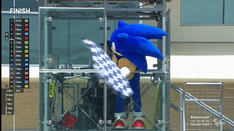 Sonic The Hedgehog Start Your Engines Waving Flag GIF