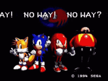 Sonic The Hedgehog Tails Knuckles No Way GIF