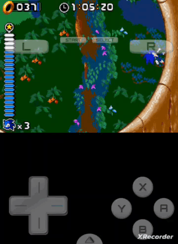 Sonic the Hedgehog Video Game Screenshot XRecorder