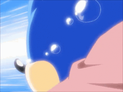 Sonic X Japanese Animated Series GIF