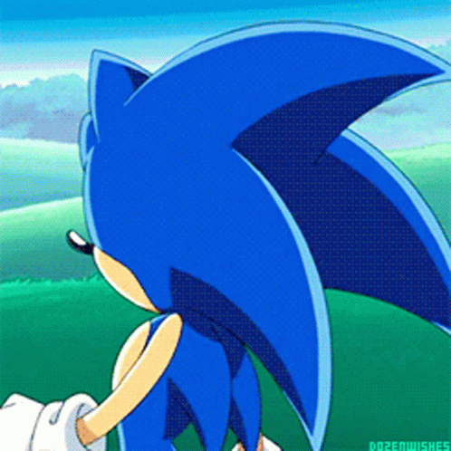 Sonic X Jumping The Hill GIF