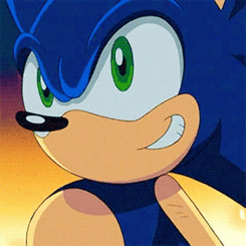 Sonic X Proud Smile GIF