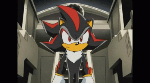 Sonic X Shadow The Hedgehog GIF