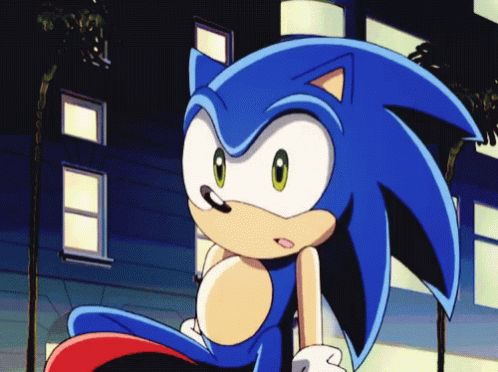 Sonic X Shrug I Don't Know GIF