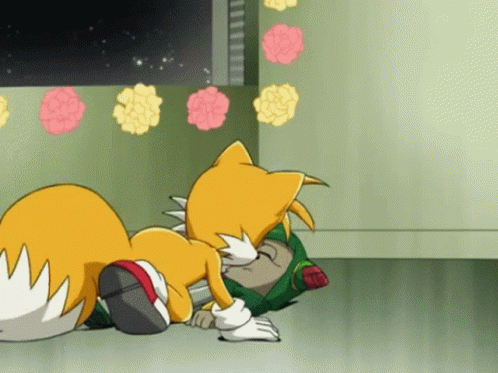 Sonic X The Hedgehog And Tails GIF