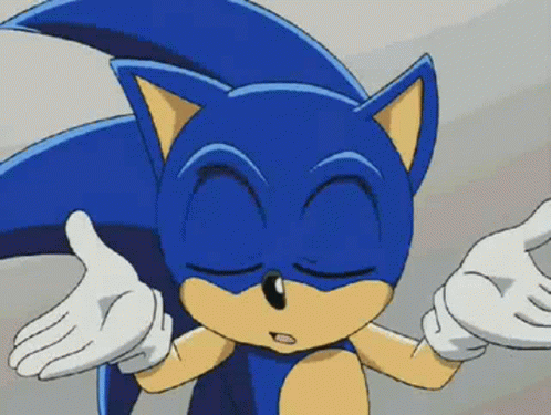Sonic X The Hedgehog No Idea GIF