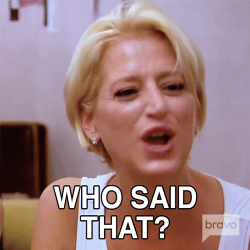 Sonja Morgan Who Said That GIF