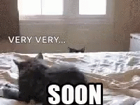 Very Soon Cat Peeking From Bedside GIF