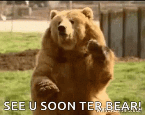 See You Soon Waving Bear GIF