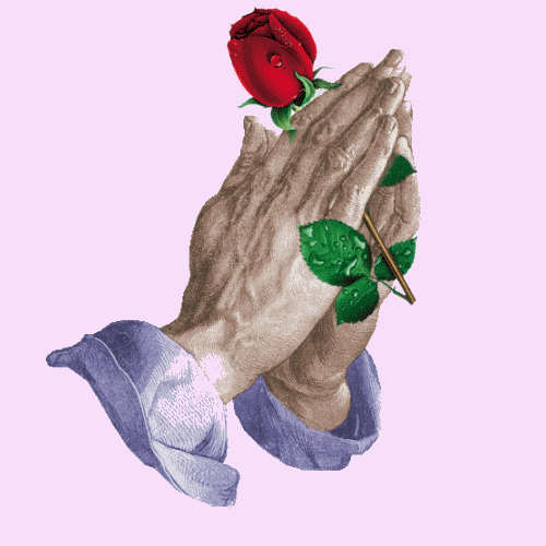 Sorrows Prayers Palm With Rose GIF