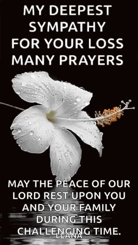 Sorrows Prayers White Flowers GIF
