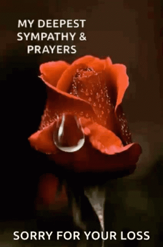 Sorry For Your Loss Red Rose Droplet GIF