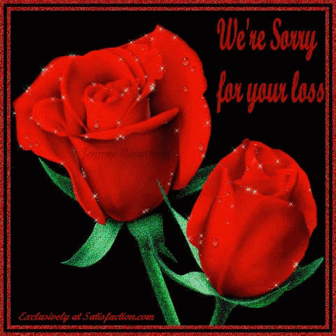 Sorry For Your Loss Red Roses GIF