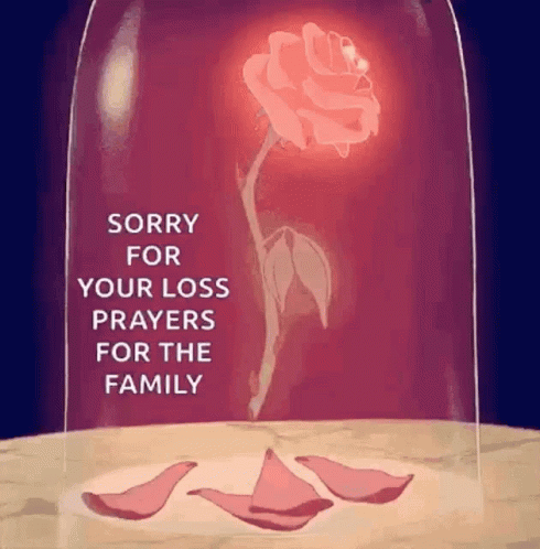 Sorry For Your Loss Rose Petals Falling GIF
