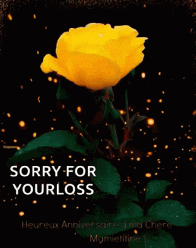 Sorry For Your Loss Yellow Rose GIF