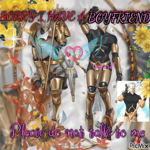 Sorry I Have a Boyfriend Please Do Not Talk to Me Pic Mix